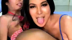 Ass Pussy Toy Webcam Show 574