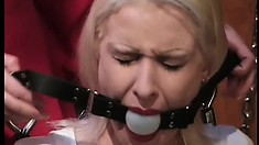 Sexy girl shows her slave all the charms of a good bondage dungeon